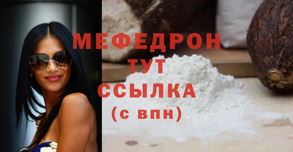 индика Абаза