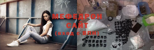 индика Абаза