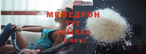 индика Абаза