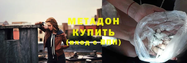 индика Абаза