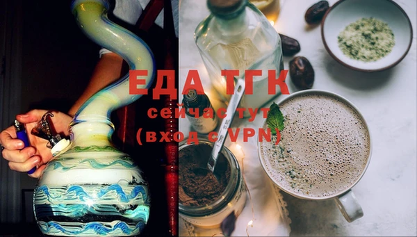 индика Абаза