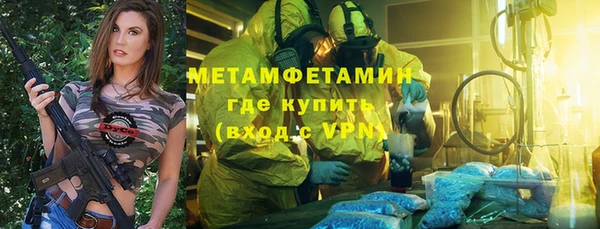индика Абаза