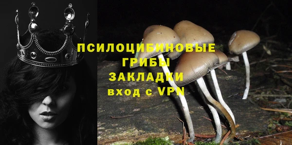 индика Абаза