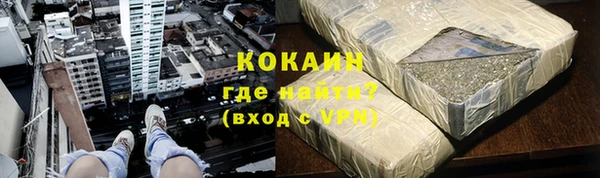 индика Абаза