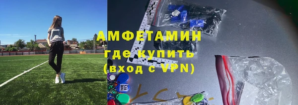индика Абаза
