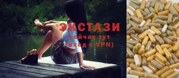 индика Абаза
