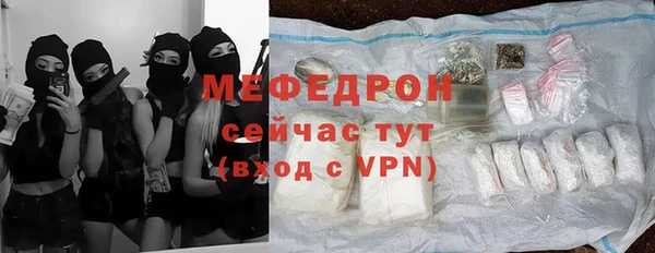 индика Абаза