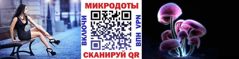 Галлюциногенные грибы GOLDEN TEACHER  Тайга 
